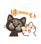 我が家の半目のとらおくん（個別スタンプ：7）
