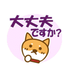 柴犬 敬語（個別スタンプ：6）