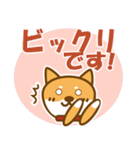 柴犬 敬語（個別スタンプ：7）