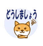 柴犬 敬語（個別スタンプ：17）