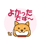 柴犬 敬語（個別スタンプ：28）