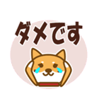 柴犬 敬語（個別スタンプ：36）