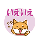 柴犬 敬語（個別スタンプ：38）