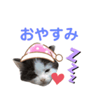 子猫のミオ（個別スタンプ：2）