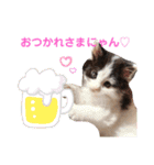 子猫のミオ（個別スタンプ：5）