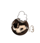 子猫のミオ（個別スタンプ：23）