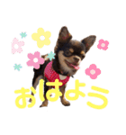 笑子①（個別スタンプ：3）