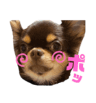 笑子①（個別スタンプ：7）