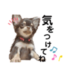 笑子①（個別スタンプ：9）