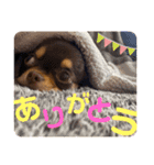 笑子①（個別スタンプ：10）