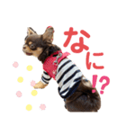 笑子①（個別スタンプ：12）