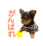 笑子①（個別スタンプ：14）