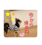 笑子①（個別スタンプ：21）