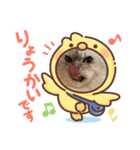 ぽこ赤ちゃん（個別スタンプ：5）