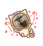 ぽこ赤ちゃん（個別スタンプ：8）