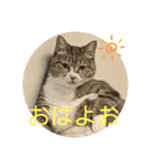 ちびみやパート7（個別スタンプ：4）