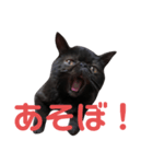 可愛い虎鉄（個別スタンプ：2）