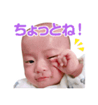 毎日せいごくん1（個別スタンプ：4）