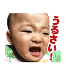 毎日せいごくん1（個別スタンプ：14）