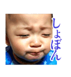 毎日せいごくん1（個別スタンプ：15）