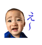 毎日せいごくん1（個別スタンプ：16）