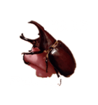 落ち込み（個別スタンプ：1）
