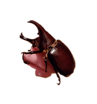 落ち込み（個別スタンプ：2）