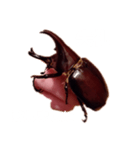 落ち込み（個別スタンプ：3）
