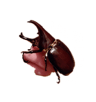 落ち込み（個別スタンプ：6）