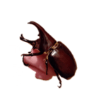 落ち込み（個別スタンプ：7）