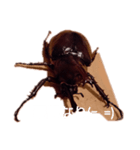 落ち込み（個別スタンプ：13）