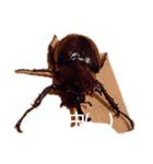 落ち込み（個別スタンプ：14）