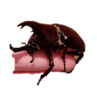 落ち込み（個別スタンプ：16）