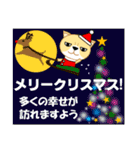 ふさかわねこ 冬 年賀状＆クリスマスなど（個別スタンプ：25）