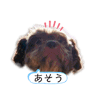 R氏、わりと無口。（個別スタンプ：9）