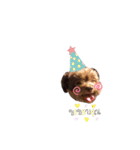 R氏、わりと無口。（個別スタンプ：21）