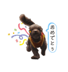 R氏、わりと無口。（個別スタンプ：24）