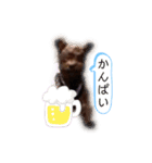 R氏、わりと無口。（個別スタンプ：25）