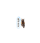 R氏、わりと無口。（個別スタンプ：26）