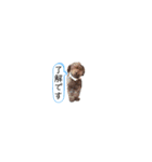 R氏、わりと無口。（個別スタンプ：31）