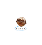 R氏、わりと無口。（個別スタンプ：33）