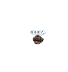 R氏、わりと無口。（個別スタンプ：35）