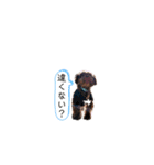 R氏、わりと無口。（個別スタンプ：37）
