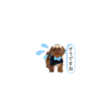 R氏、わりと無口。（個別スタンプ：38）