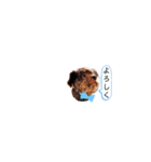R氏、わりと無口。（個別スタンプ：39）