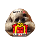 日々まるちゃん18（個別スタンプ：5）