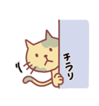 茶猫スタンプ(気軽挨拶＆敬語)（個別スタンプ：25）