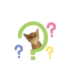 ドギーリーグの仲間達（個別スタンプ：6）