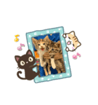ドギーリーグの仲間達（個別スタンプ：12）