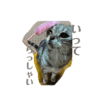 清水家の3ねこ。〜敬語挨拶編〜（個別スタンプ：14）